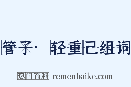 管子·轻重己组词是什么意思的图片